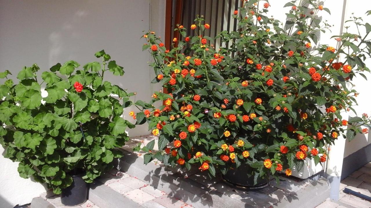 Hotel Unterkraemerhof Fusch an der Grossglocknerstrasse Ngoại thất bức ảnh